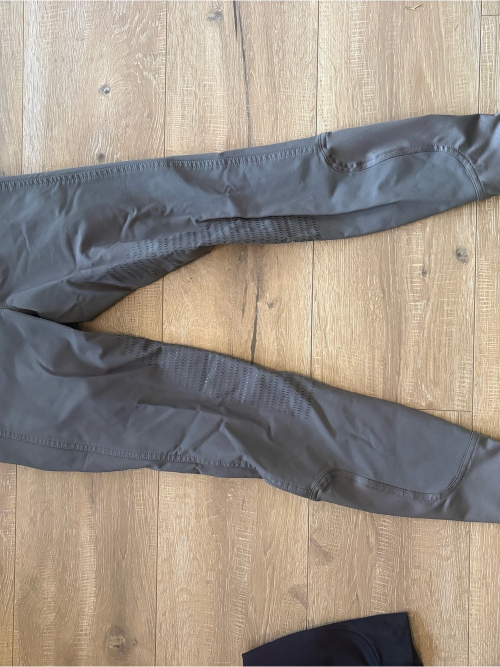 Elation platinum breeches, grey